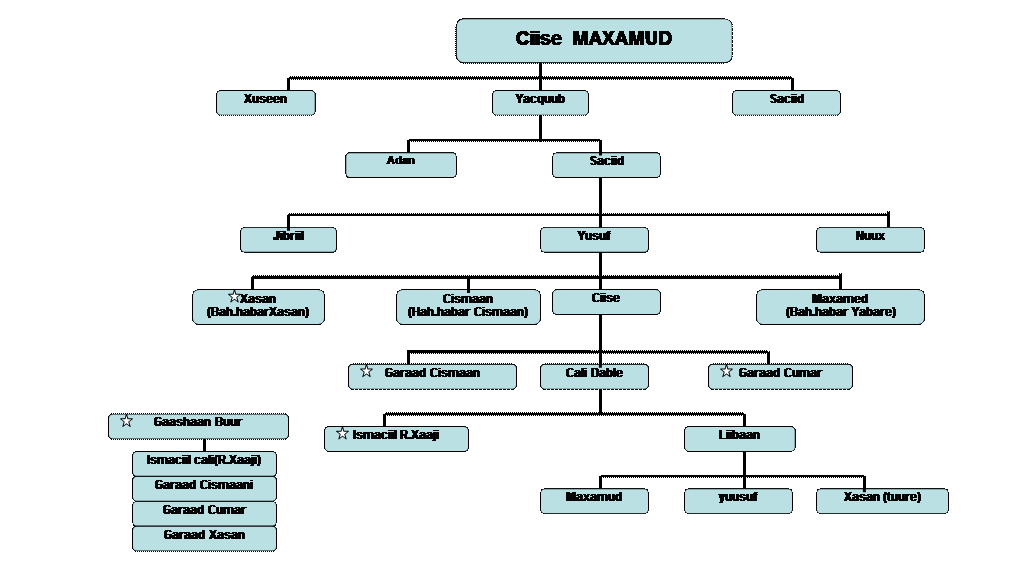 Organization Chart